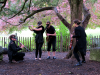 The Minstrels struggle to perform © Sarah Goulding 2014