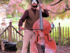 Troubadour Double Bass (a Baroque relic) in the wild © Sarah Goulding 2014