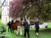 The hunt with Troubadours in tow © Sarah Goulding 2014